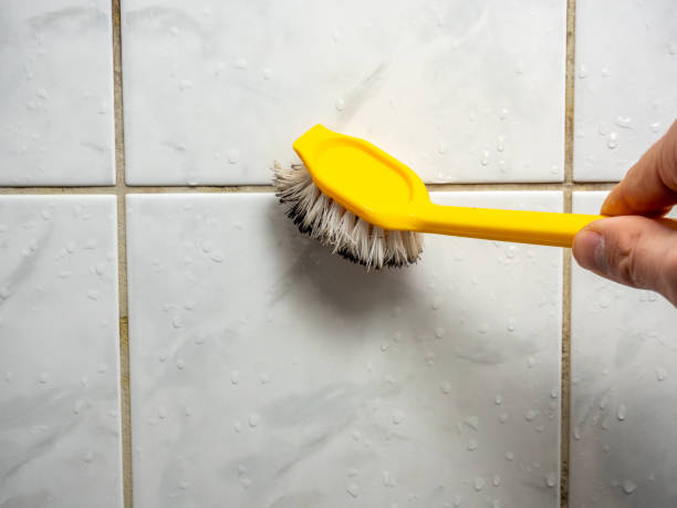 Best DIY Mold Remediation Support Services in South Ack, NY